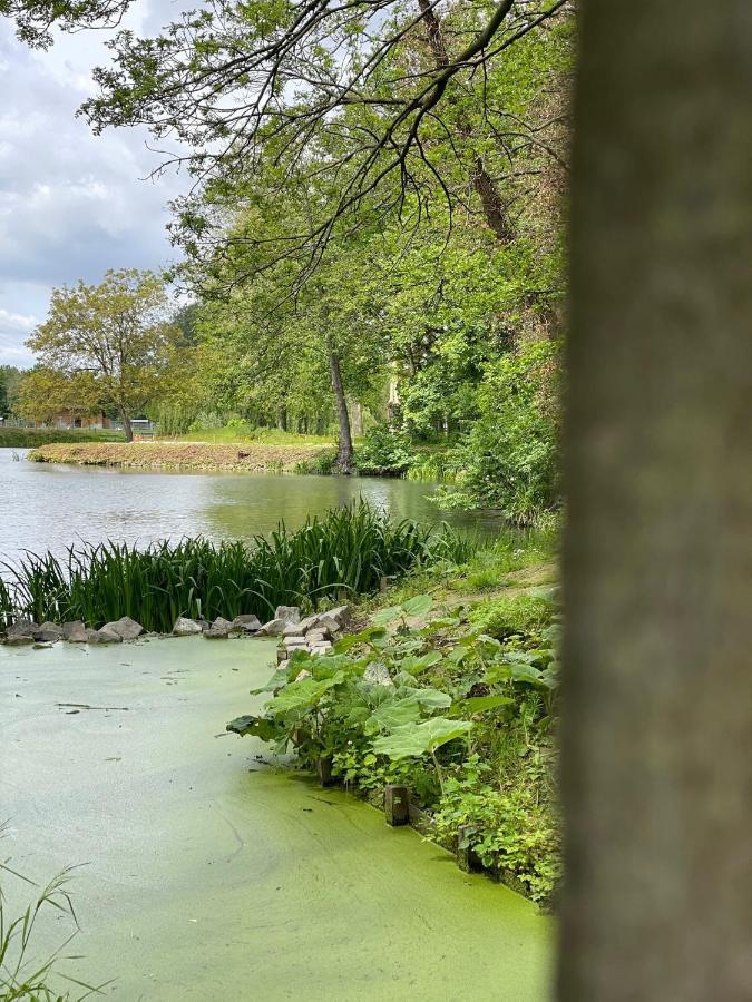 Vakantiehuis Cerise, Luxueus Genieten In De Leiestreek 代因泽 外观 照片