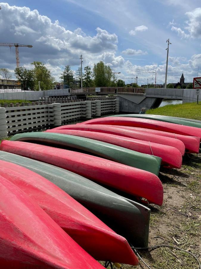 Vakantiehuis Cerise, Luxueus Genieten In De Leiestreek 代因泽 外观 照片